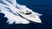 PREDATOR 72 SPORT 2008 SUNSEEKER