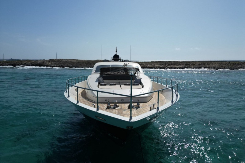27 2008 ARNO LEOPARD