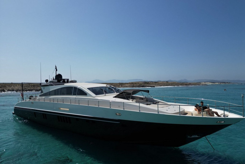 27 2008 ARNO LEOPARD