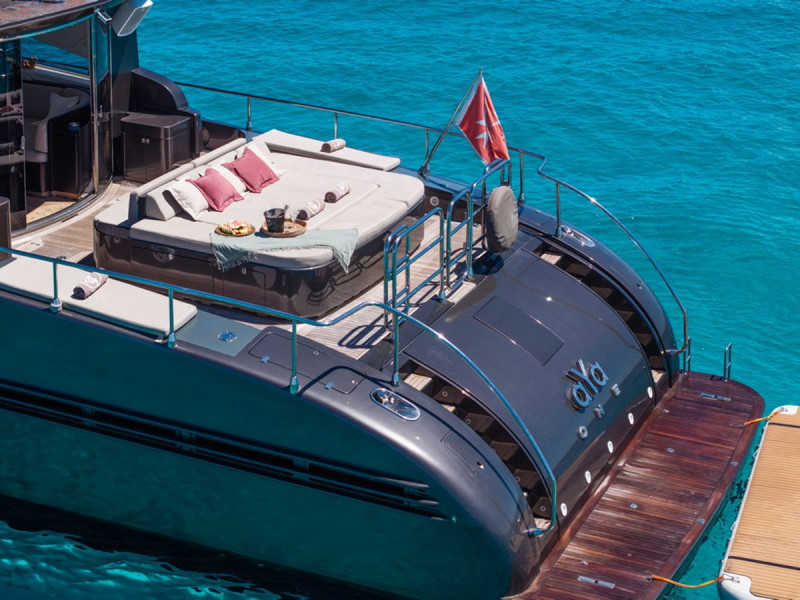 27 2008 ARNO LEOPARD