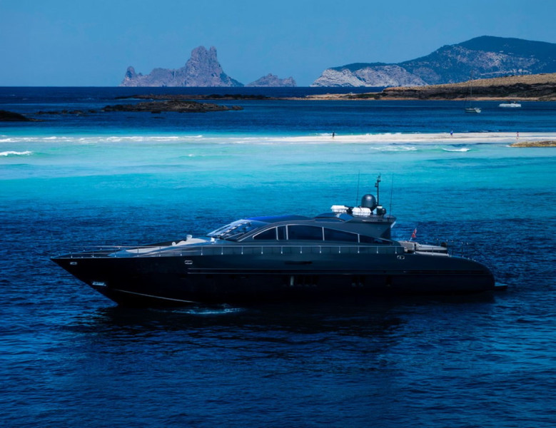 27 2008 ARNO LEOPARD
