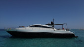 27 2008 ARNO LEOPARD