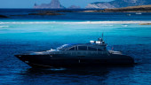 27 2008 ARNO LEOPARD