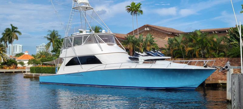 2006 VIKING