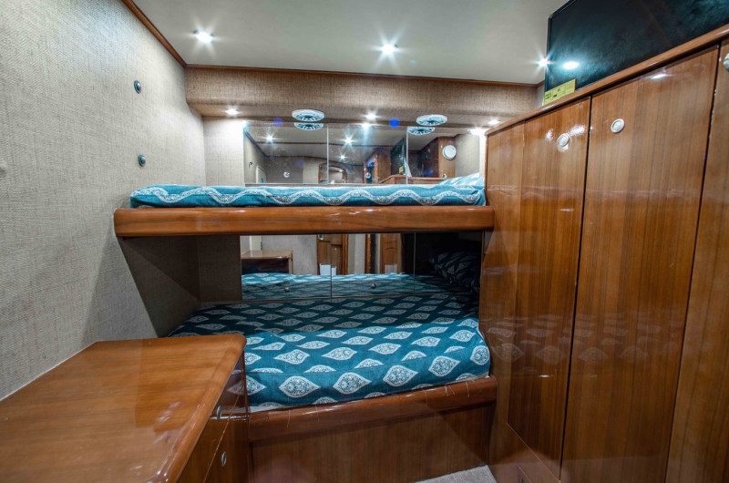 2006 VIKING