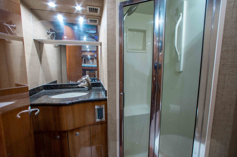 2006 VIKING