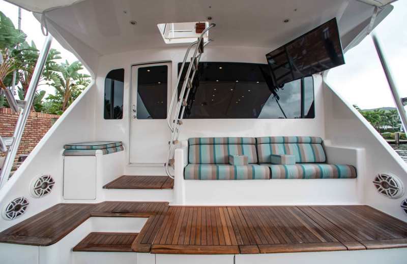 2006 VIKING