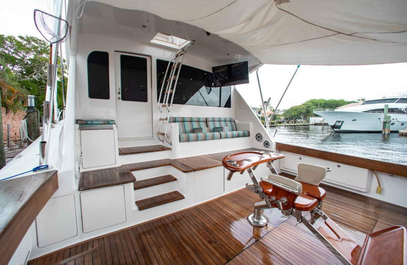 2006 VIKING