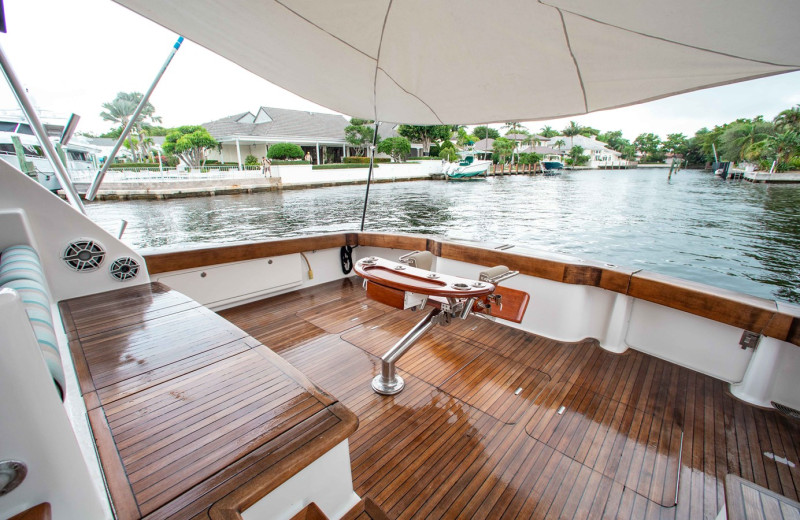 2006 VIKING