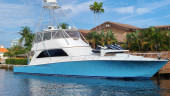 2006 VIKING