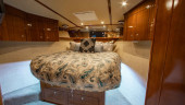 2006 VIKING