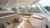 2006 VIKING