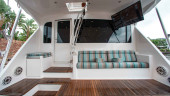 2006 VIKING
