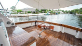 2006 VIKING
