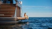 SUNREEF 100 POWER 2025 SUNREEF YACHTS