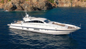 2010 ARNO LEOPARD