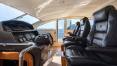 2010 ARNO LEOPARD